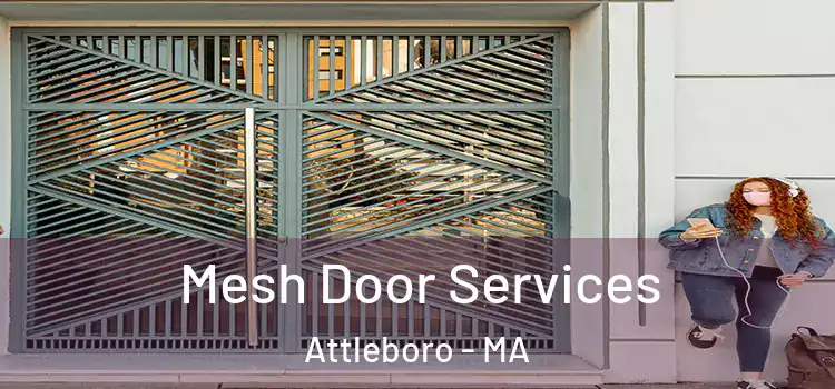 Mesh Door Services Attleboro - MA